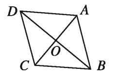 চতুৰ্ভুজের অনুশীলনী ১