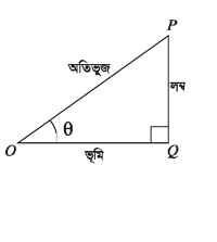 ত্রিকোণমিতিক অনুপাতসমূহ