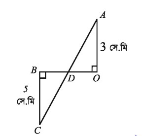 পিথাগোরাসের উপপাদ্যের অনুশীলনী