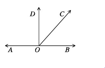 রেখা, রশ্মি ও রেখাংশ