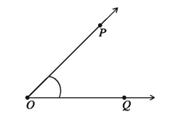 রেখা, রশ্মি ও রেখাংশ