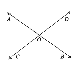 রেখা, রশ্মি ও রেখাংশ