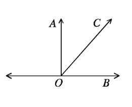রেখা, রশ্মি ও রেখাংশ