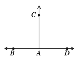রেখা, রশ্মি ও রেখাংশ