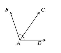 রেখা, রশ্মি ও রেখাংশ