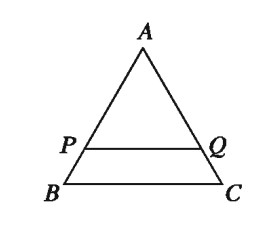 অনুপাত, সদৃশতা ও প্রতিসমতার অনুশীলনী ২