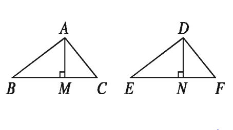 অনুপাত, সদৃশতা ও প্রতিসমতার অনুশীলনী ২