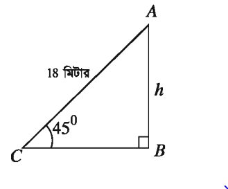 দূরত্ব ও উচ্চতা