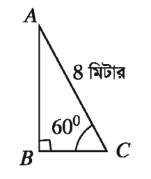 দূরত্ব ও উচ্চতার অনুশীলনী