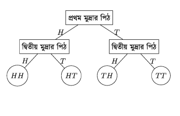 নমুনাক্ষেত্র এবং Probability Tree দ্বারা সম্ভাবনা নির্ণয়