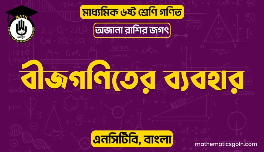 বীজগণিতের ব্যবহার