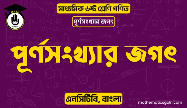 পূর্ণসংখ্যার জগৎ