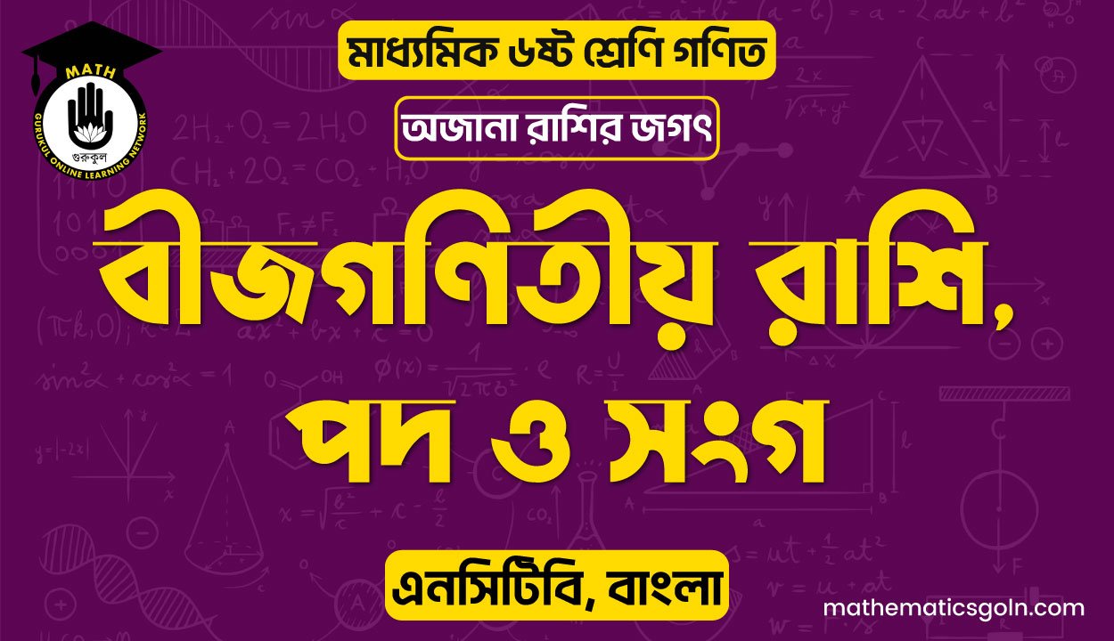 বীজগণিতীয় রাশি, পদ ও সংগ